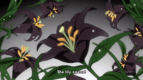 Black Lilies