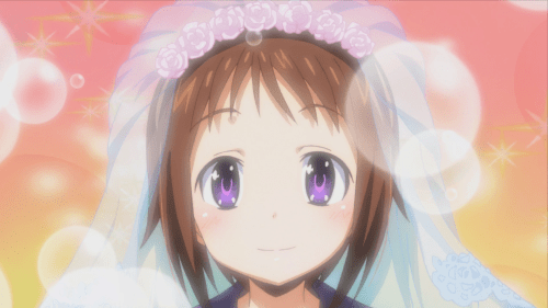 Okusama ga Seitokaichou! Review